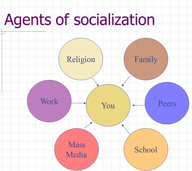 socialization definition sociology quizlet infopedia