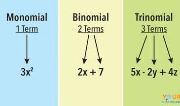 Learn about Monomial Calculator