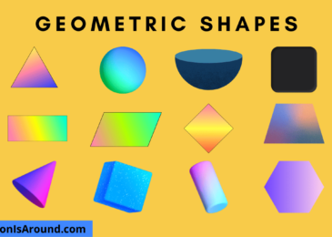 Geometric Shapes: Types of shapes explained