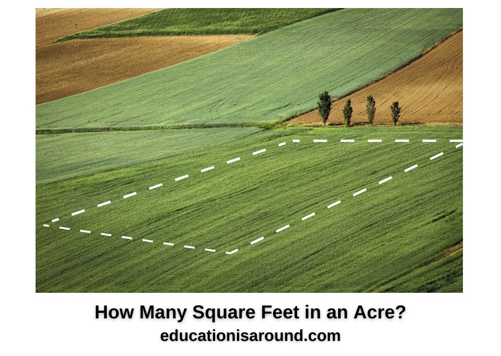 how-many-square-feet-in-an-acre-education-is-around