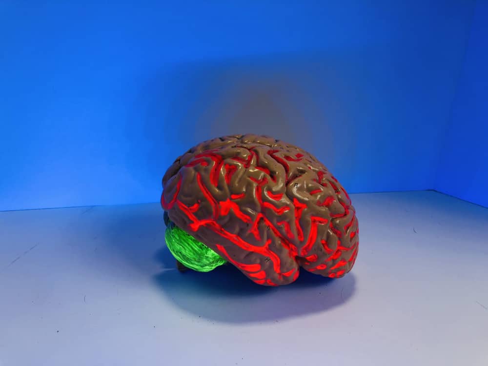 A model of a human brain with red and green highlights against a blue background, representing intelligence and high IQ.